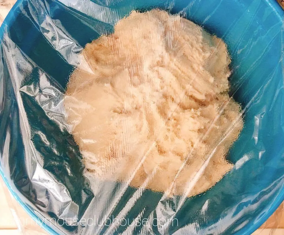 Cake Mix Cinnamon Rolls dough in a bowl covered with plastic wrap.