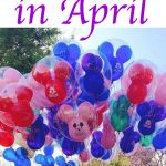 Text "Disneyland in April" a bunch of Mickey Mouse shaped balloons.
