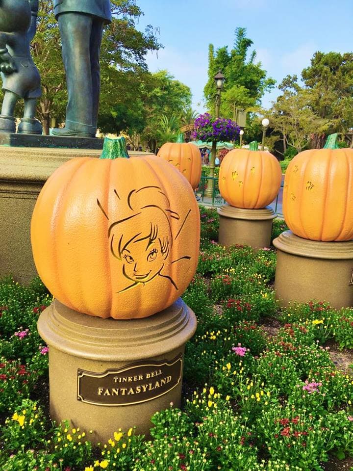 A picture of Tinkerbell cut out of a pumpkin for Disneyland Halloween Time