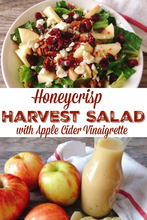 Honeycrisp Harvest Salad The Mommy Mouse Clubhouse