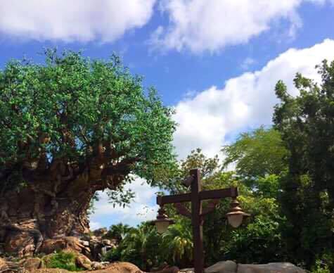 Disney World Planning Tips