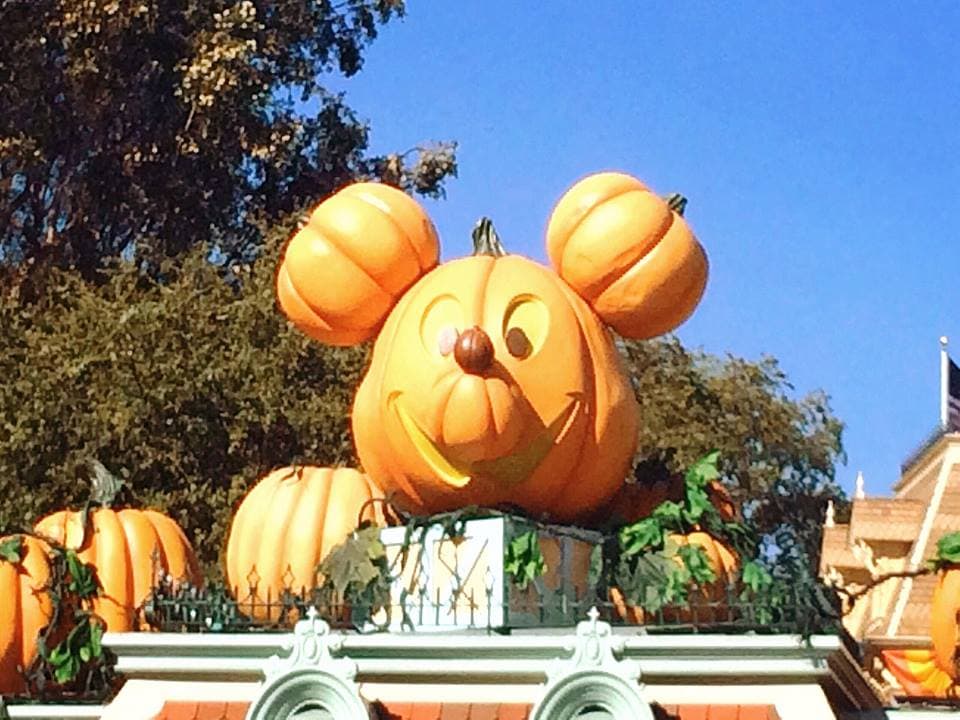 Pumpkin Shaped Mickey Mouse surrounded by pumpkins.