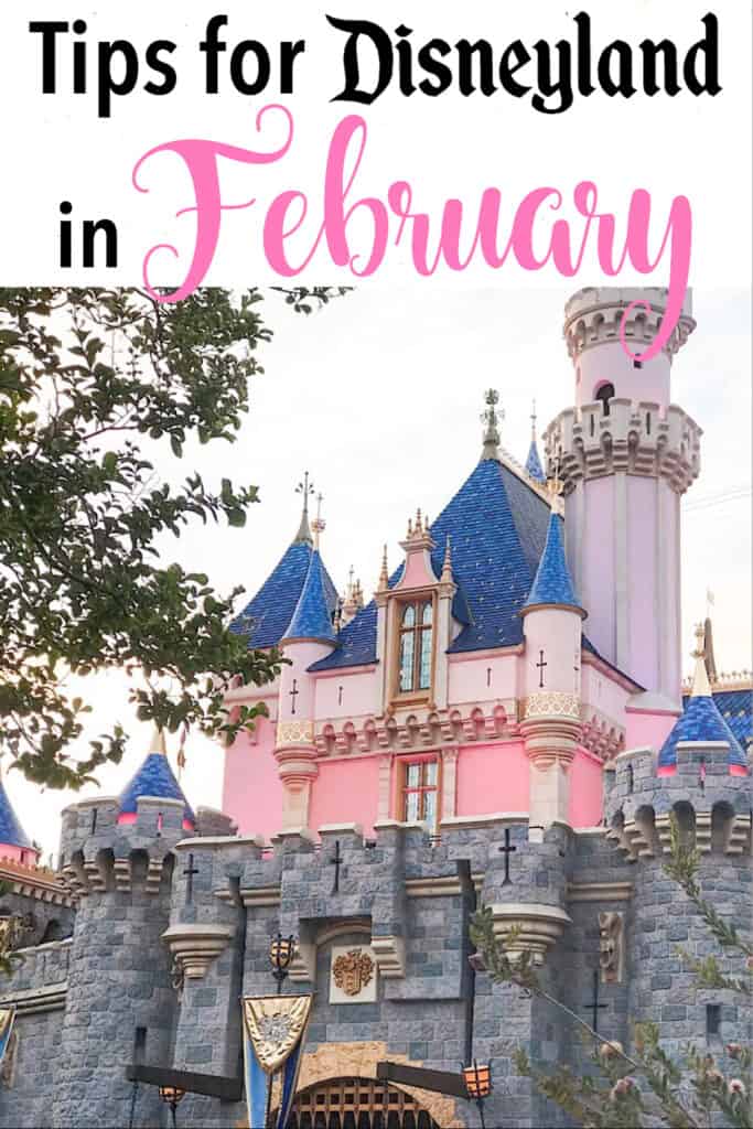 Tips for Disneyland in February