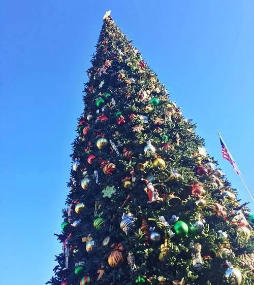 A decorated tree for Christmas at Disneyland