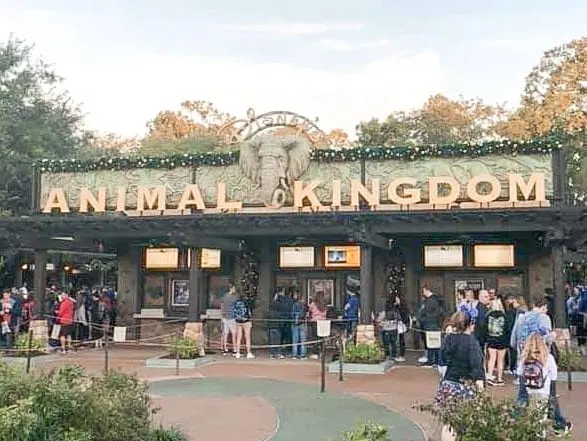 Disney’s Animal Kingdom Theme Park Entrance