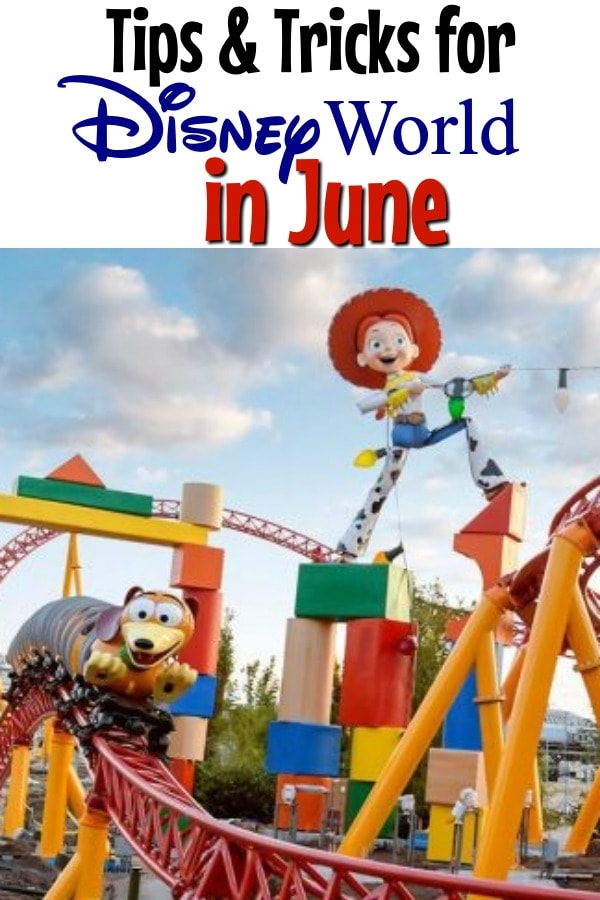 disney year of the mouse june