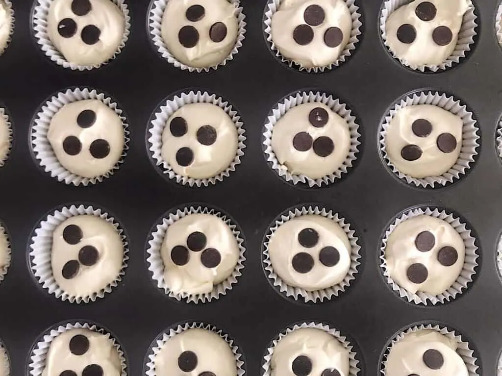 An overhead view of chocolate chip cheesecake muffins.