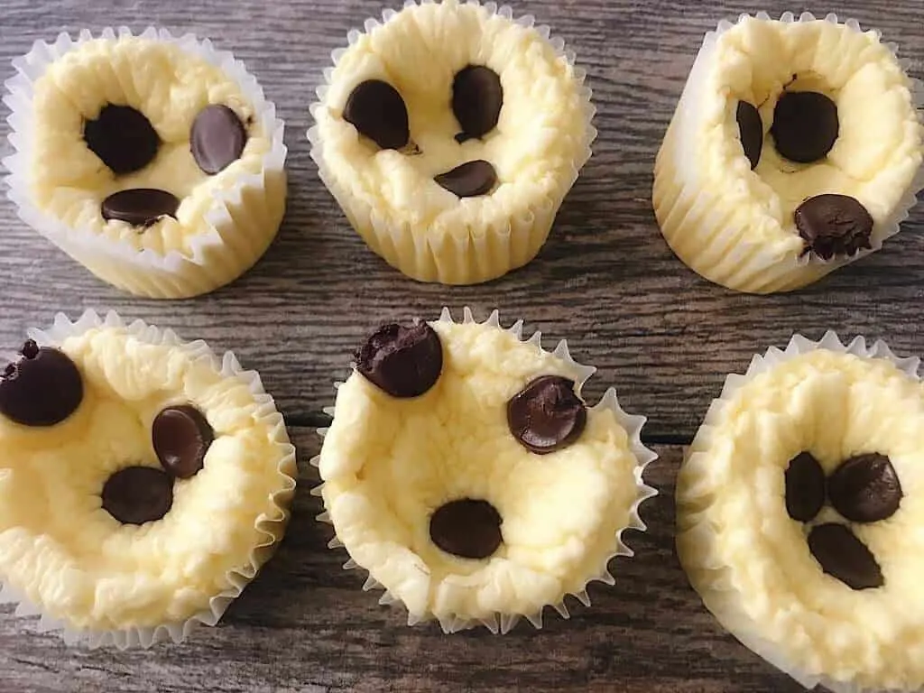 Chocolate chip cheesecake bites on a wooden background.