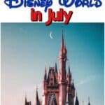 Text “Tips for Disney World in July” a picture of a castle at sunset.