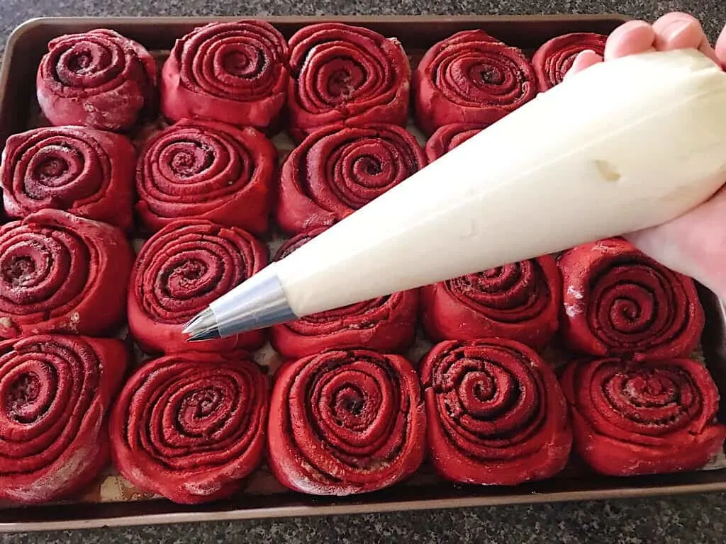 A piping bag of cream cheese frosting over a pan of red velvet cinnamon rolls.