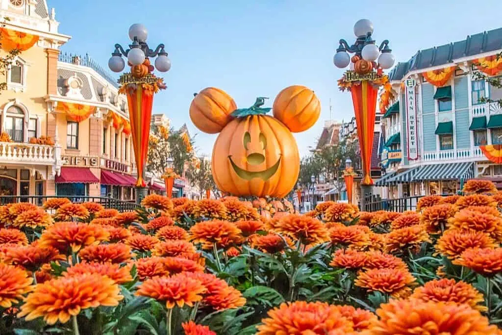 Mickey Pumpkin at Disneyland