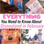A collage of pictures of Disneyland
