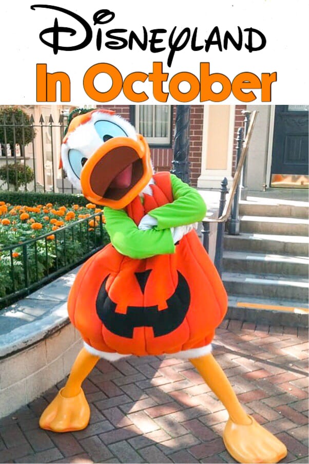 Disneyland in October