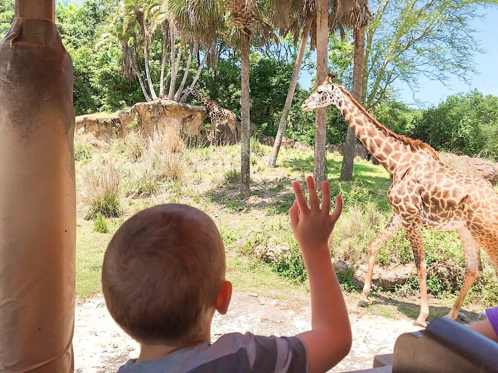 Animal Kingdom Kilaminjaro Safari