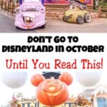 Don’t Go To Disneyland in October Until You Read This!