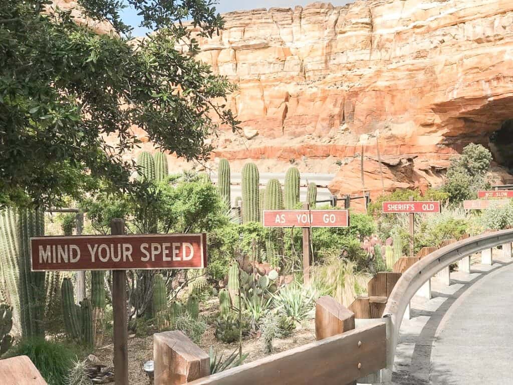 Radiator Springs Racers in Cars Land