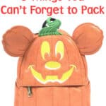 Disneyland in October 5 Things You Can’t Forget to Pack