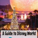 A guide to Disney World in December