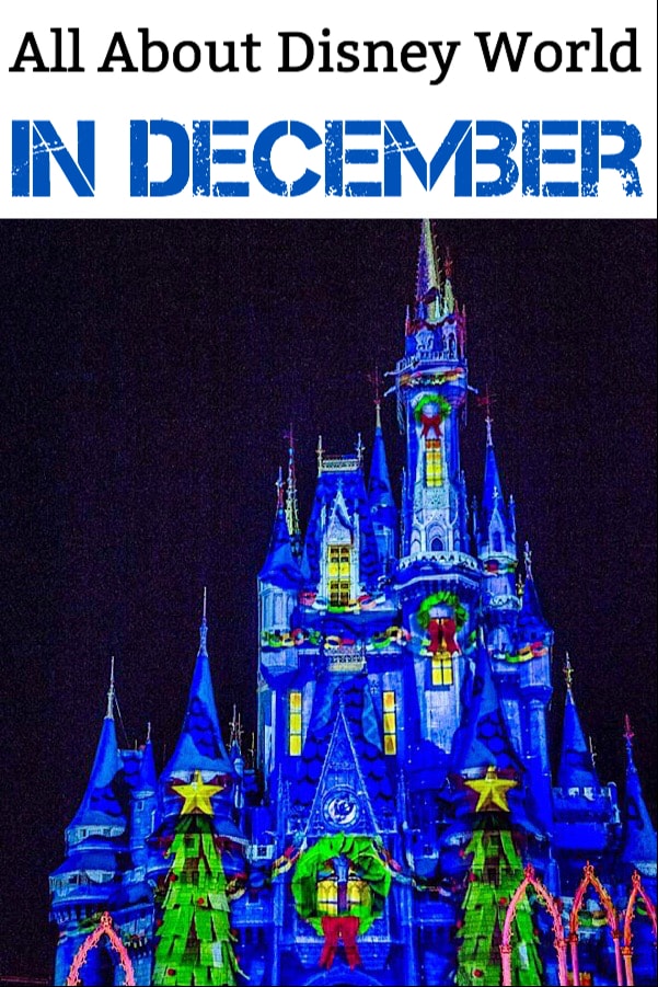 Todo sobre Disney World en diciembre