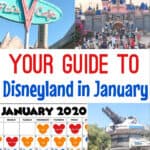 Your Guide to Disneyland in January?