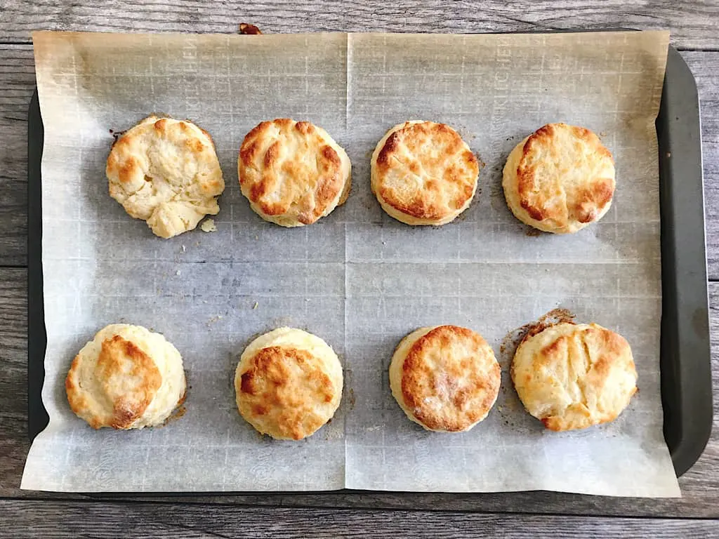 Freshly baked biscuits