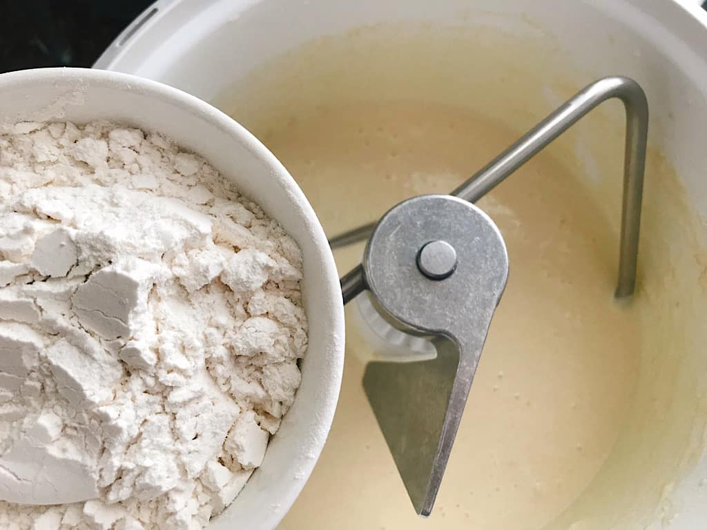 Remaining flour for Lion House Rolls
