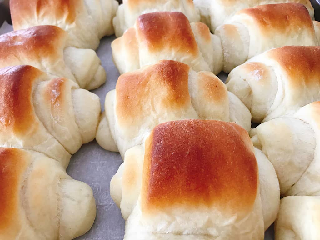 Lion House Rolls on a baking sheet