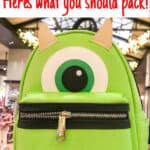 Going to Disney World in March? Here's What You Need to Pack!