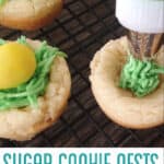Sugar Cookie Nests Perfect for Easter