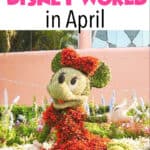 All About Disney World in April