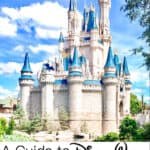 A Guide to Disney World in March
