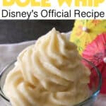 Homemade Dole Whip Disney's Official Recipe
