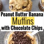 Peanut Butter Banana Muffins with Chocolate Chips
