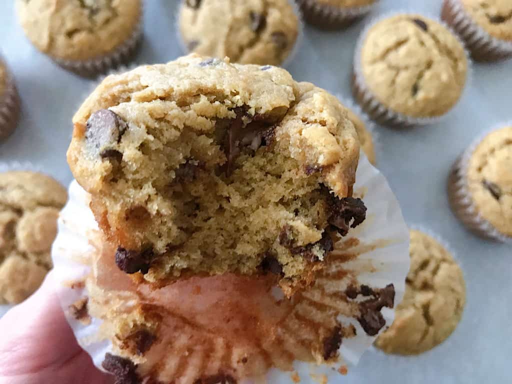 A bite out of a chocolate chip muffin
