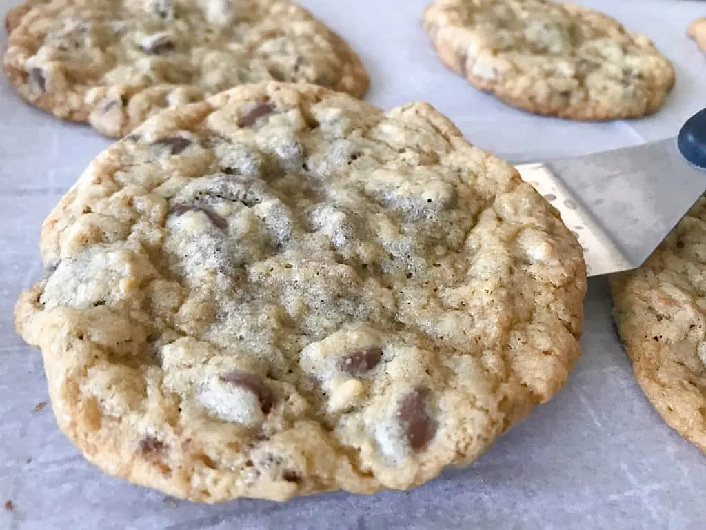 A baked chocolate chip cookie on a spatula