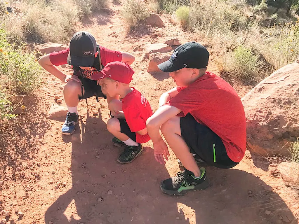 Kids looking for lizards at Zion National Park