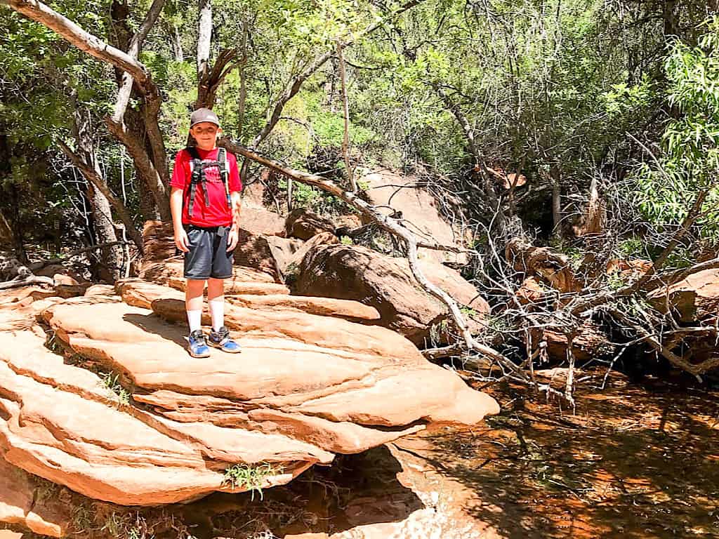 Upper Emerald Pools Zion National Parks with Kids