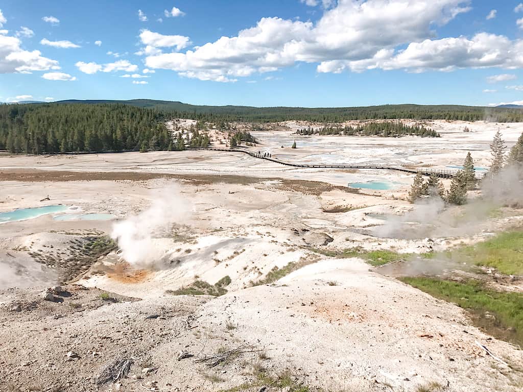 Norris Geyser Basin in Yellowstone National Park