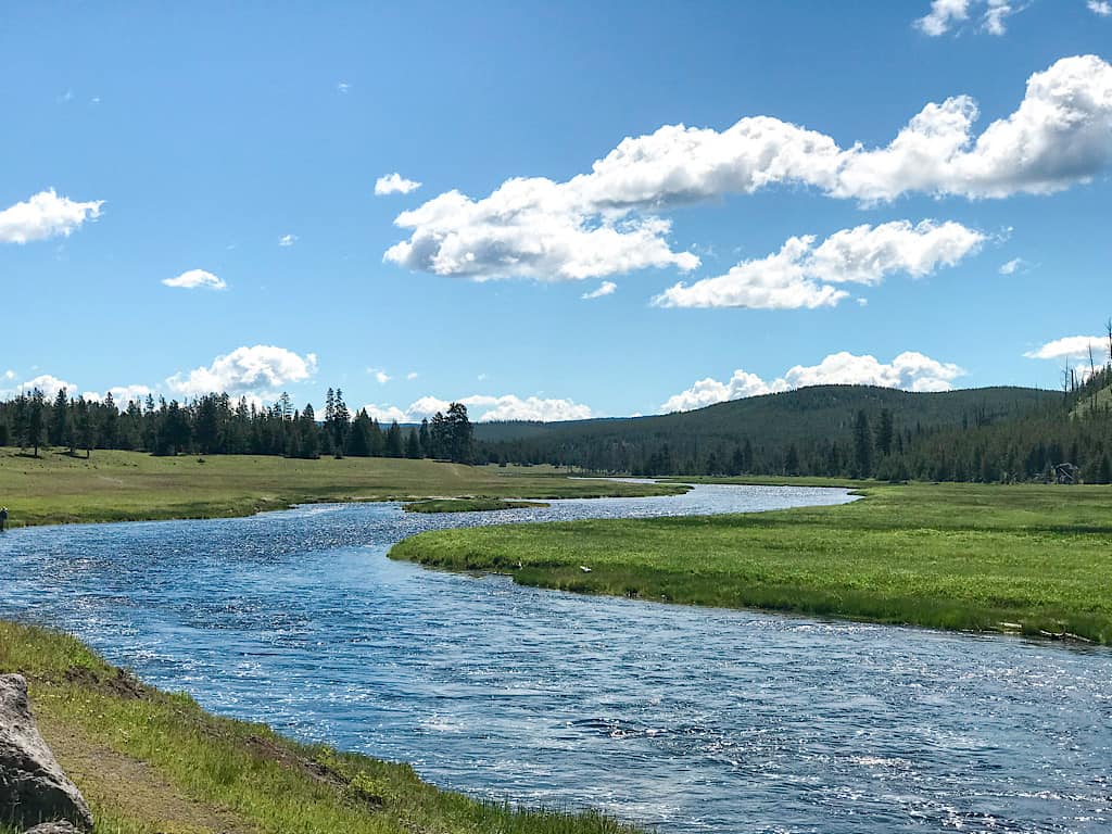 Madison River inside Yellowstone National Park