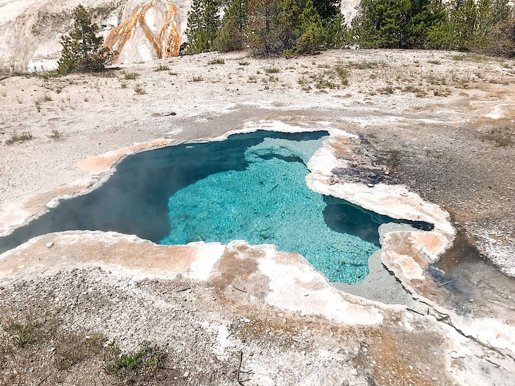 Area behind Old Faithful Geyser in Yellowstone National Park