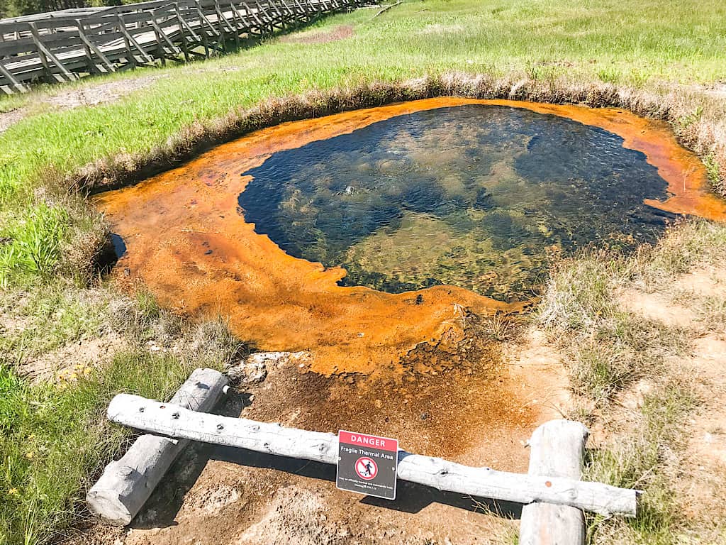 Terrace Spring at Yellowstone