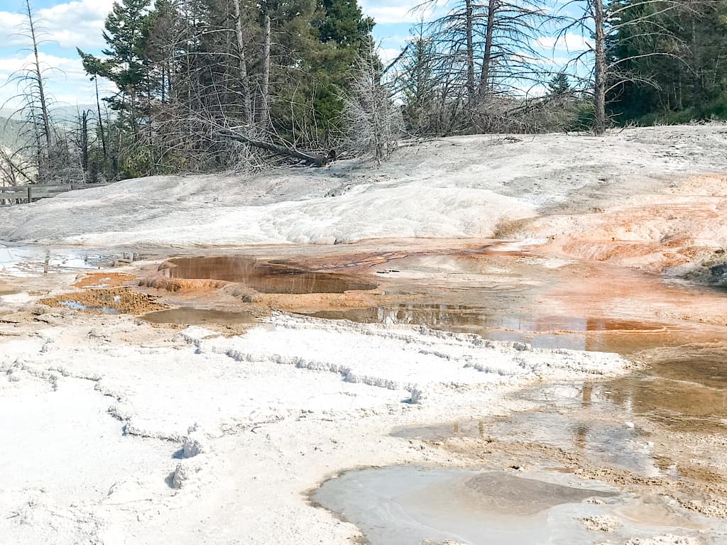 Hot Spring at Mammoth Hot Springs in Yellowstone