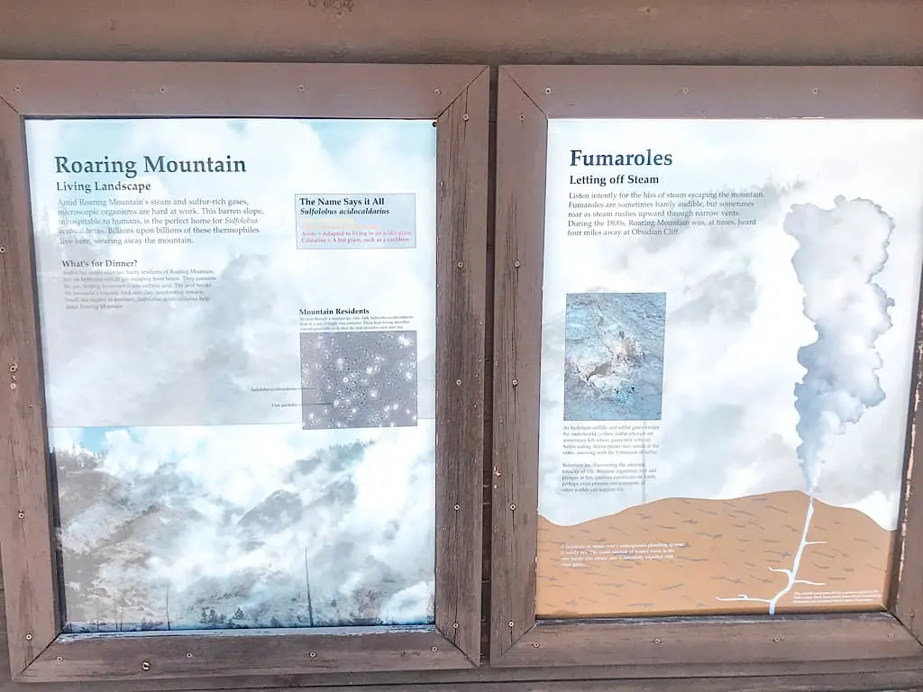 Sign at Roaring Mountain what is a fumarole