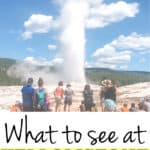 What to See at Yellowstone with Kids