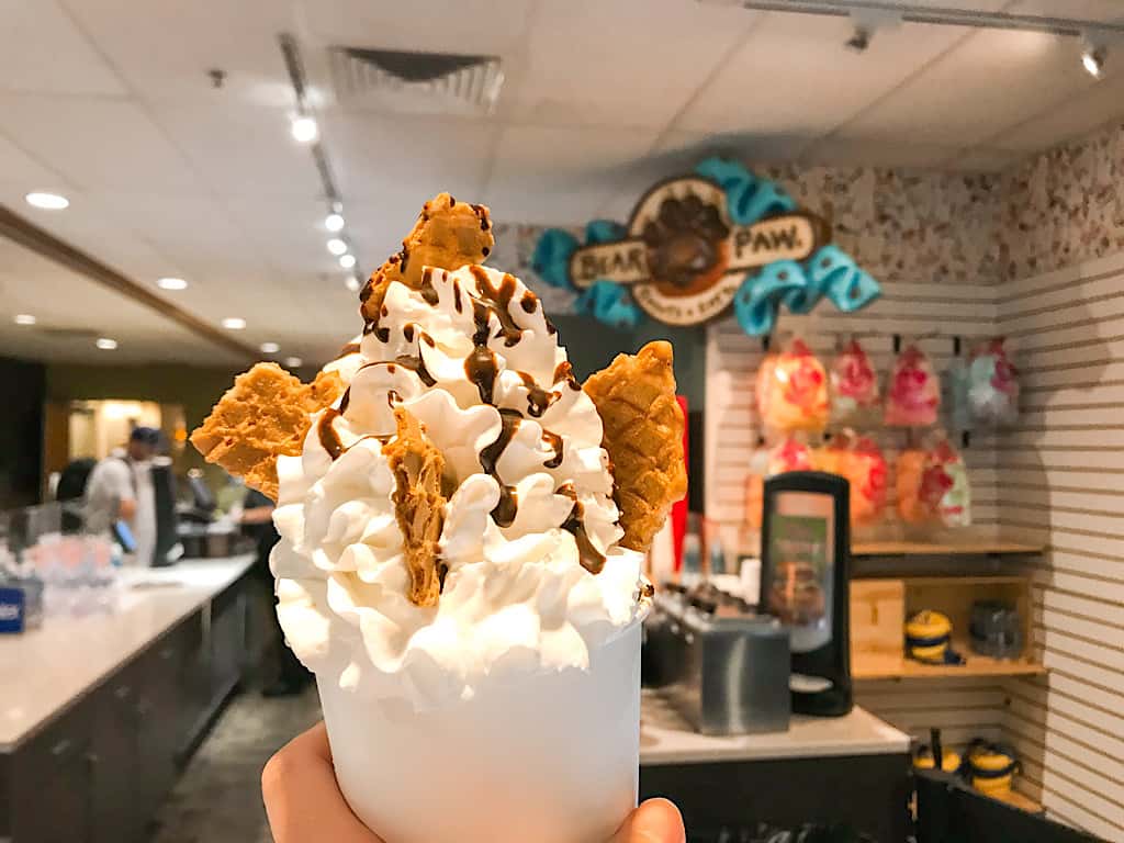 Ice Cream Sundae from Bear Paw Sweets & Eats at Great Wolf Lodge