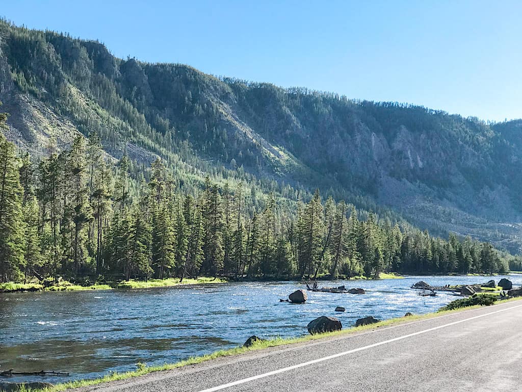 Madison River in Yellowstone National Park