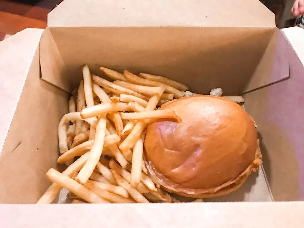 Hamburger and Fries from Contempo Cafe at Disney World
