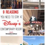 9 Reasons you need to stay at Disney's Contemporary Resort