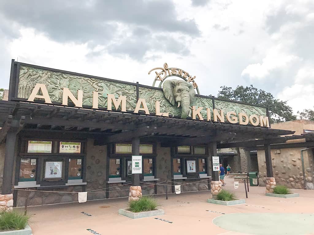 Disney's Animal Kingdom Theme Park