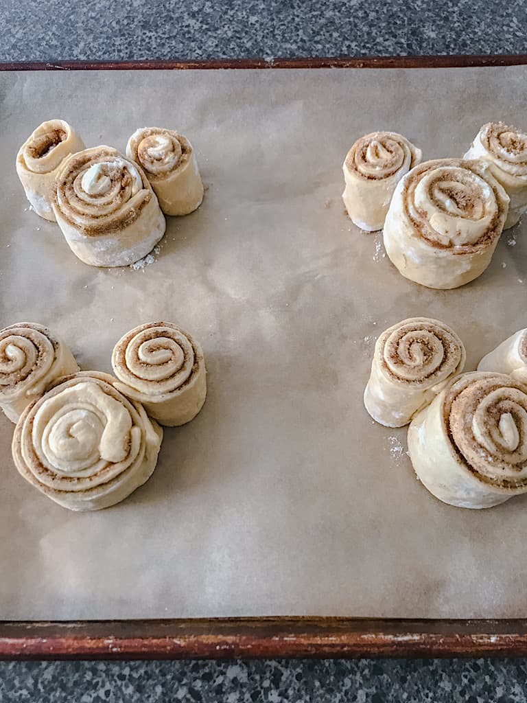 Place the Mickey head and ear cinnamon rolls on a parchment lined baking sheet and press the dough together to form a Mickey Mouse.